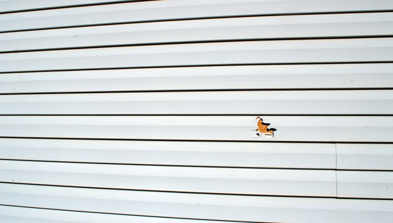 Residential Siding Repair