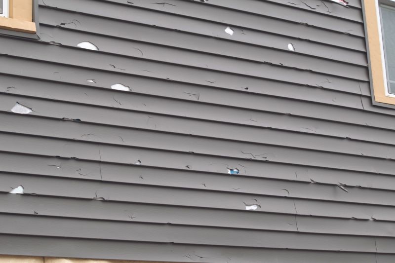Siding Repair in Spring